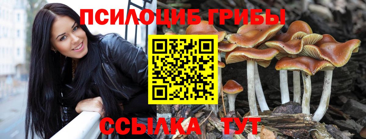 Псилоцибиновые грибы MAGIC MUSHROOMS  Вход с VPN  Псилоцибиновые грибы Psilocybe  Гудермес 